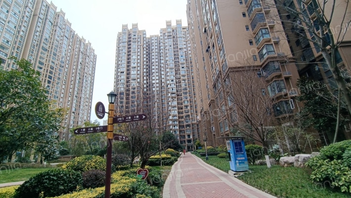 龙都国际外景图