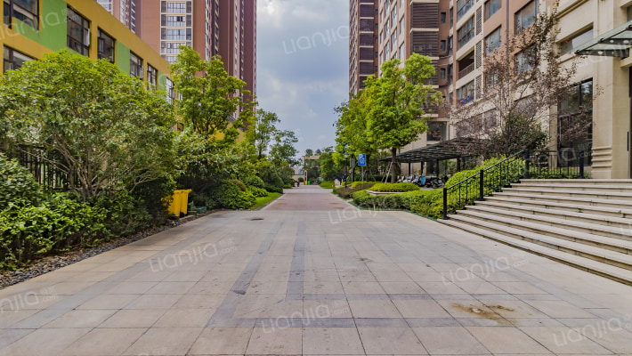 石林中心城外景图