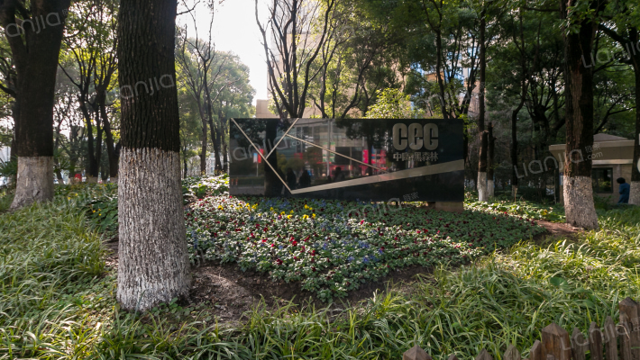 中鹰黑森林外景图