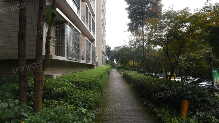 广播电视台集资房外景图