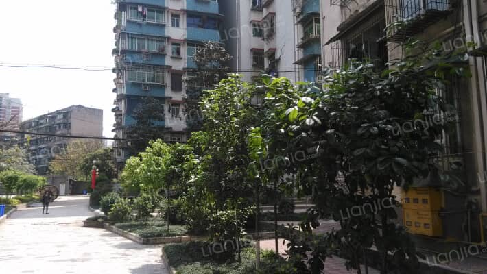 新桥新村外景图