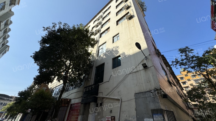 白云南路408号外景图