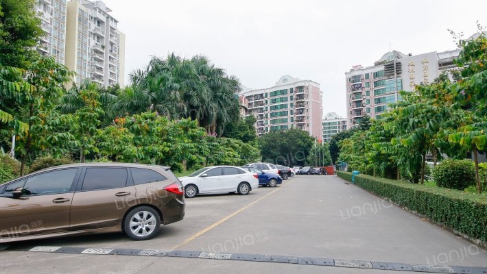 西丽体育中心外景图