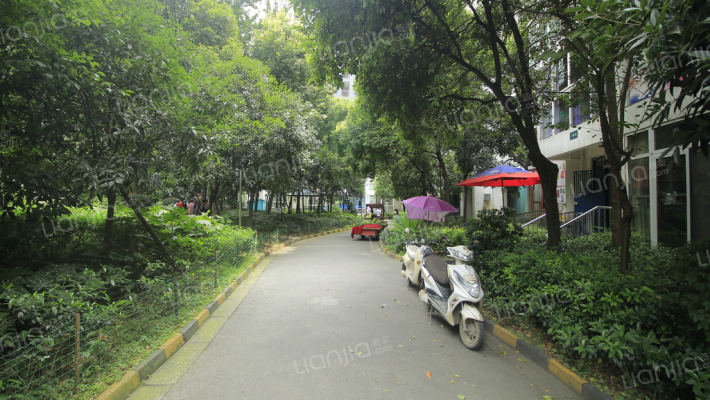 鹏城金龙美景外景图