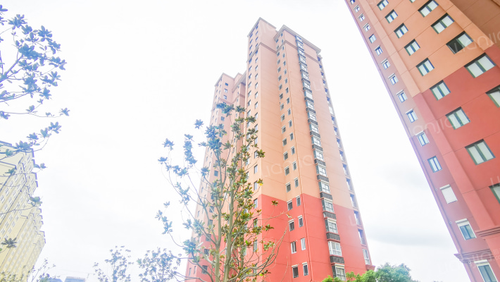 东疆花苑外景图