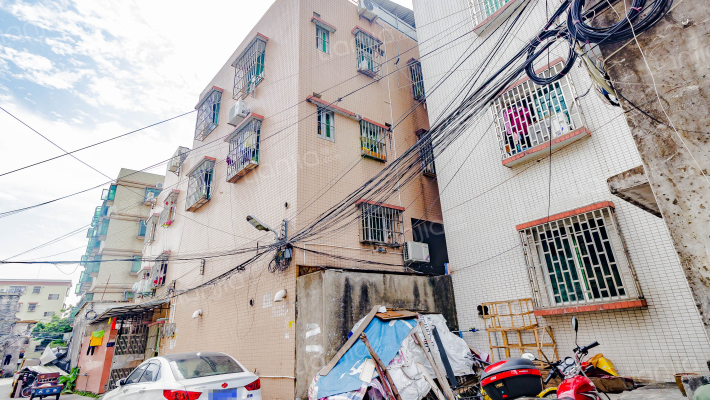 夏围街一巷外景图