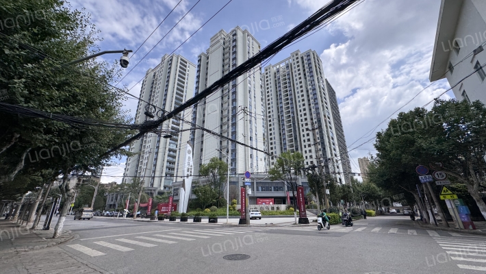 众安云兴白马御府外景图