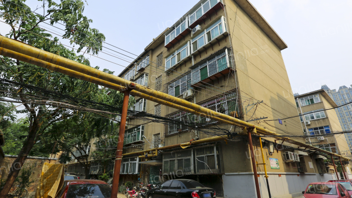 和平路29外景图