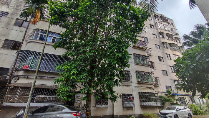 海南省免税商品企业公司宿舍外景图