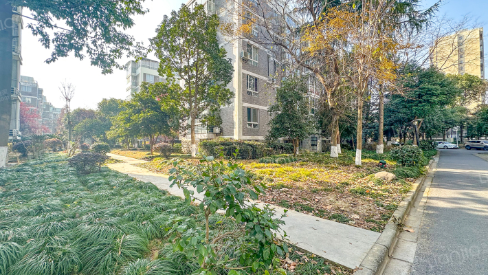 盛大开元外景图