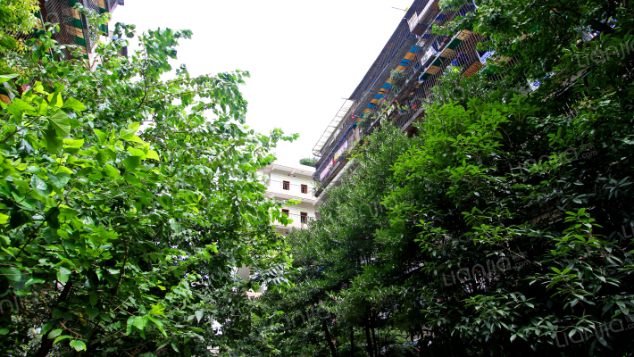 燃灯寺东街11号外景图