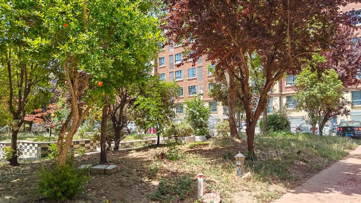 城市之心外景图