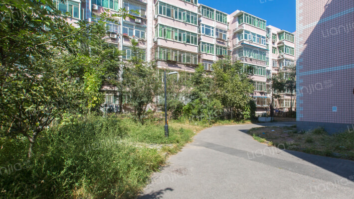 中泽家园外景图