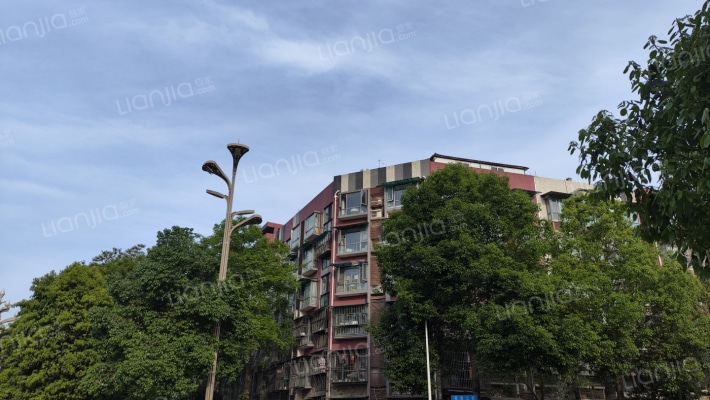 峻领天下兰岛B区外景图