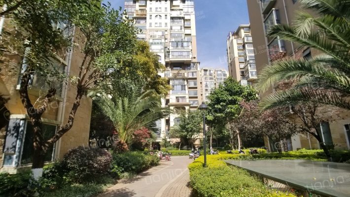 新亚洲体育城星体花园南区外景图