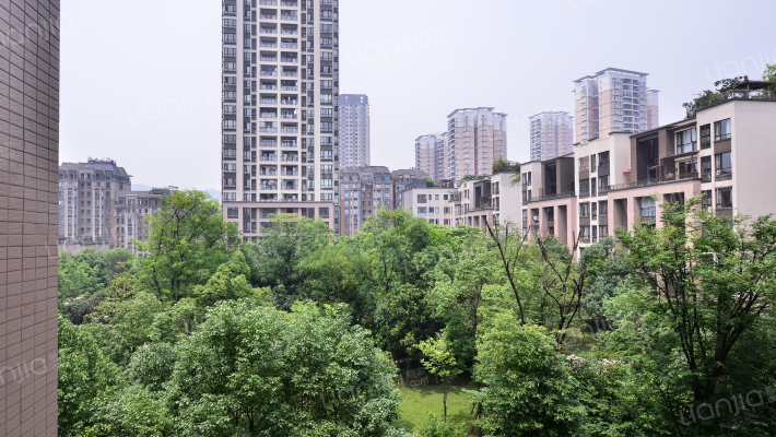 东原黄山大道东外景图