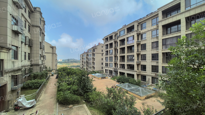 抱龙花园外景图