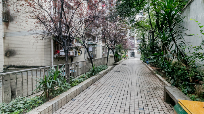 金银湾221号外景图