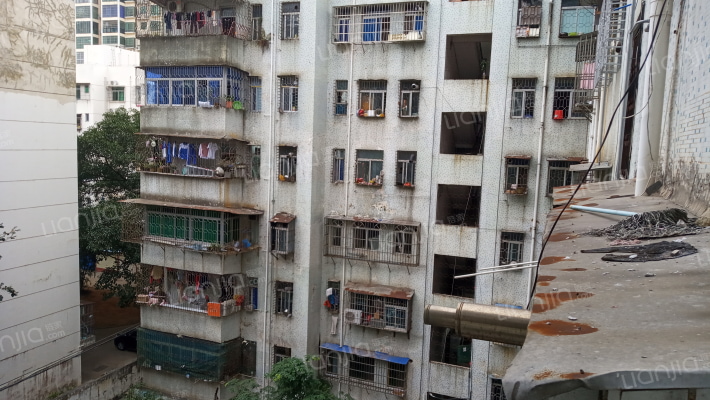 海南面粉厂宿舍区外景图