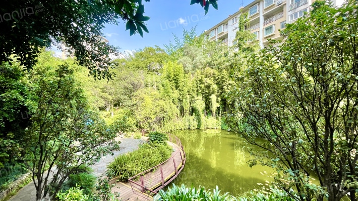 世纪生活浅水湾外景图