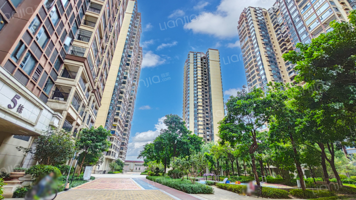 国悦九曲湾外景图