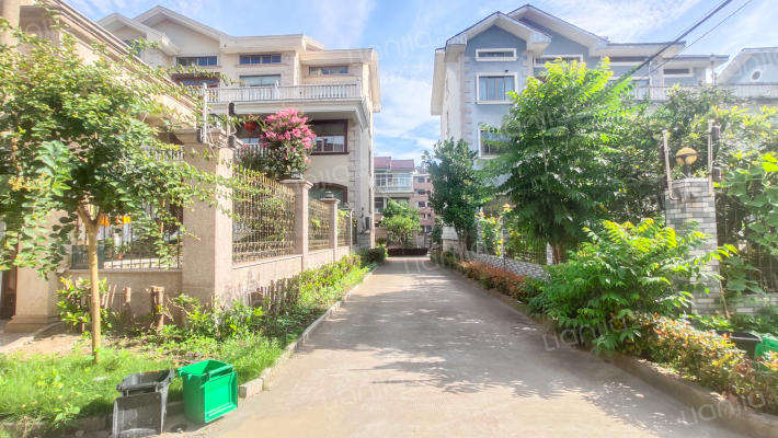 东针新村外景图