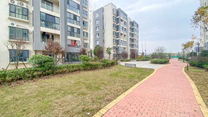 紫蓬镇繁华大道与规划中心街交口森林大道安置点外景图