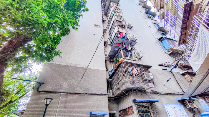 枣子岚垭村外景图