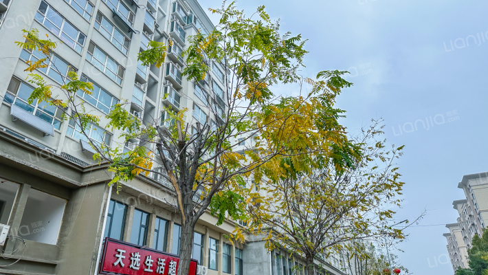 天轩湖畔外景图