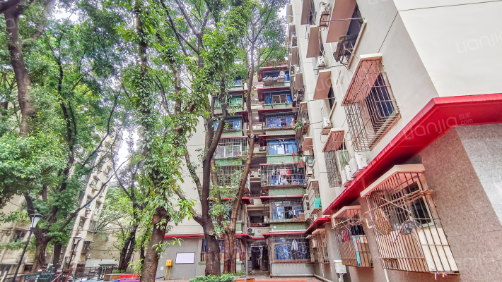 文化一村外景图