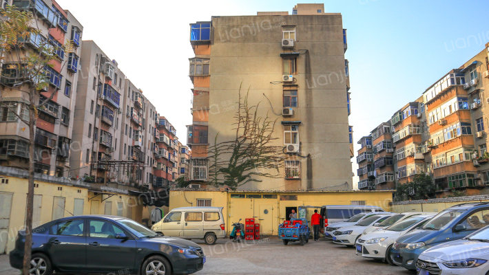 青年路412号外景图