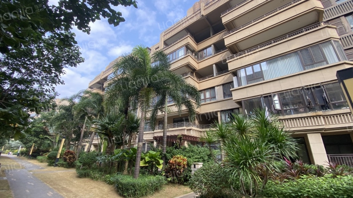 绿地雅典郡外景图