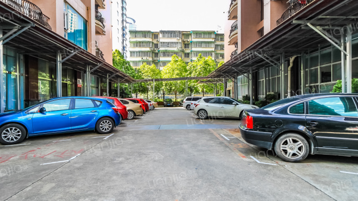 金碧苑小区外景图