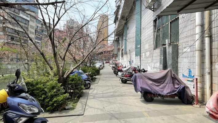 市西路16号外景图