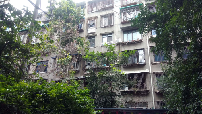 为民路91号外景图