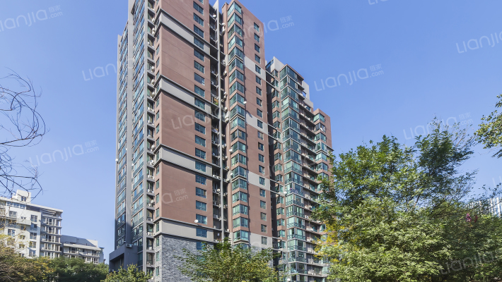 华源之星外景图