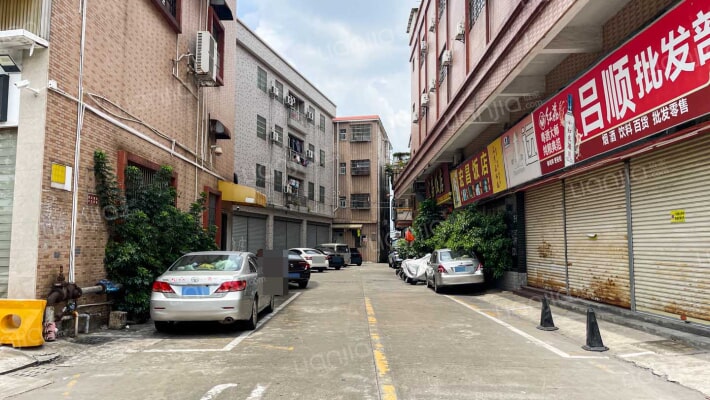 杏坛单家吕地社区外景图