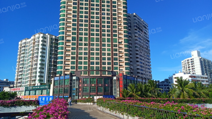 华山·国际外景图