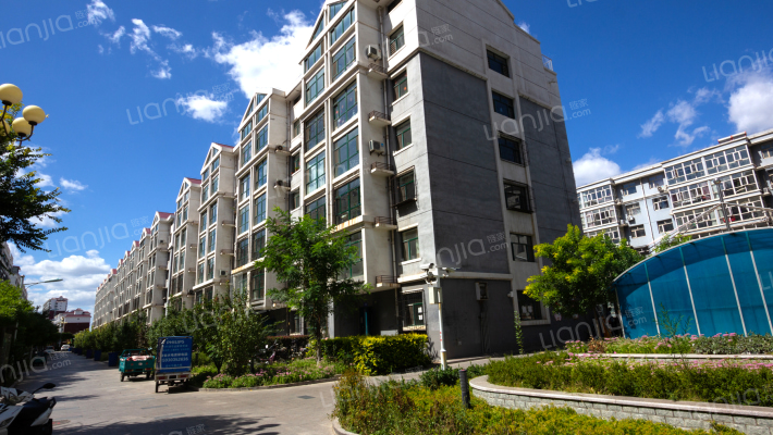 观后村新民居外景图