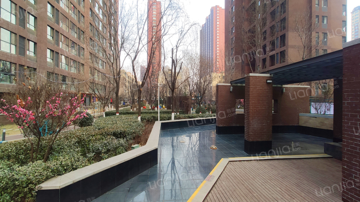 万科金域国际外景图