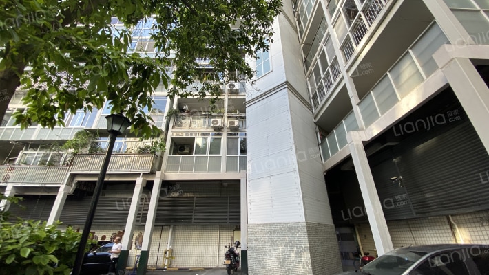 财政局宿舍金水街外景图