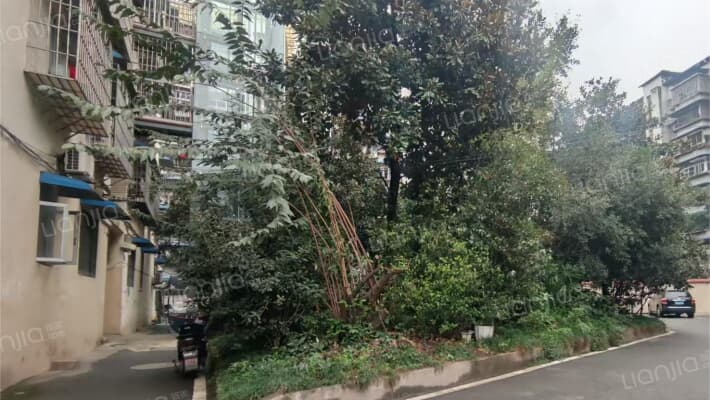 龙平街5号外景图