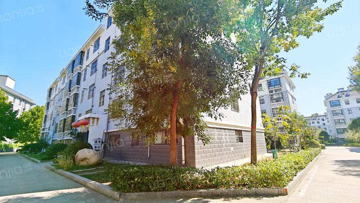 董家庄社区外景图