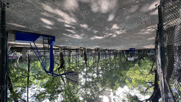 才惠社区外景图