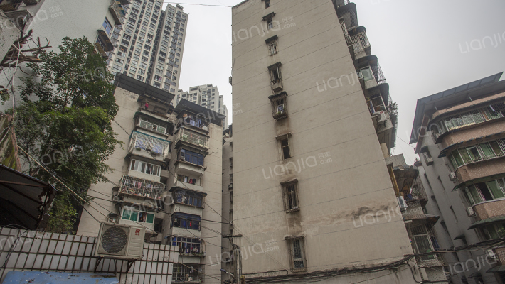 荷塘路8号附3号外景图