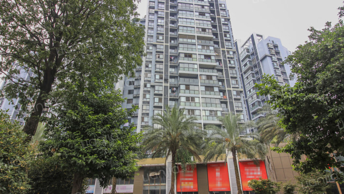 金地嘉年华城B区外景图