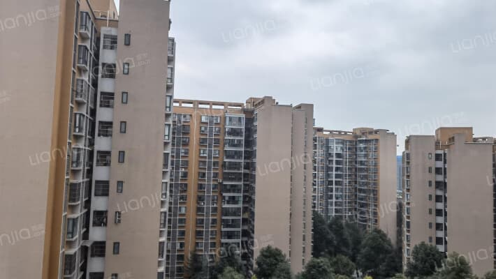 金樽雅庭外景图