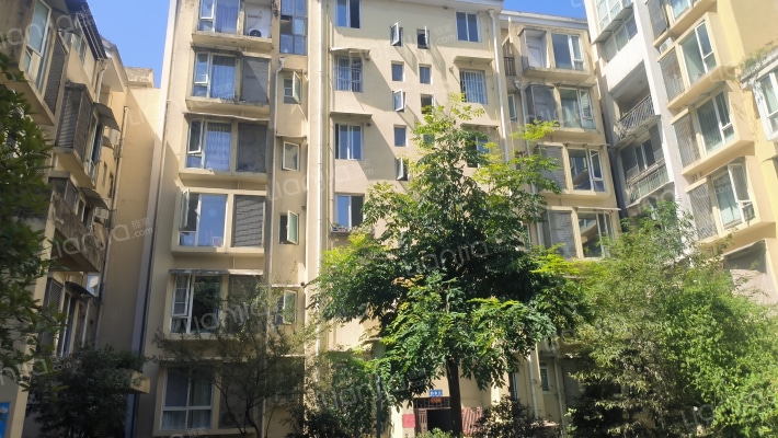 金桂园(金桂街)外景图