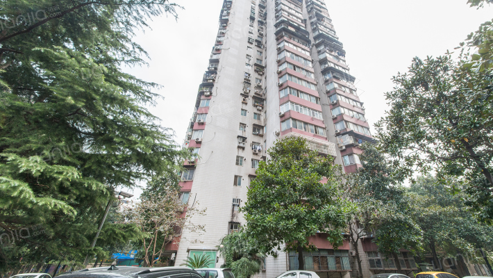 金茂小区外景图