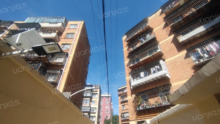 小坝自行车厂生活区外景图